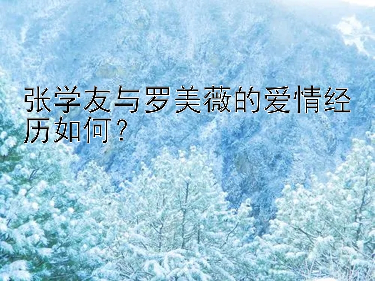 张学友与罗美薇的爱情经历如何？