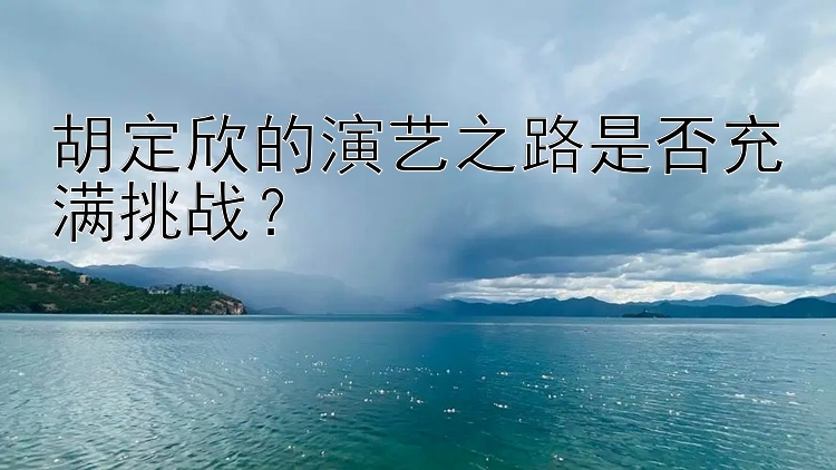 胡定欣的演艺之路是否充满挑战？