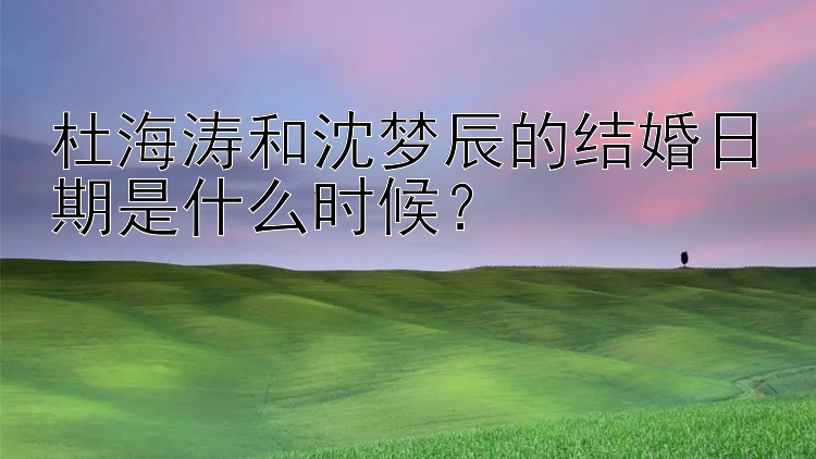 杜海涛和沈梦辰的结婚日期是什么时候？