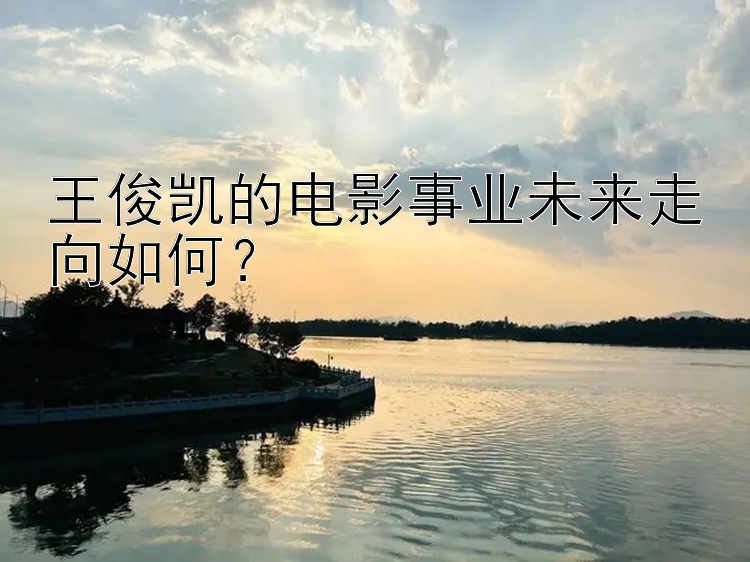 王俊凯的电影事业未来走向如何？