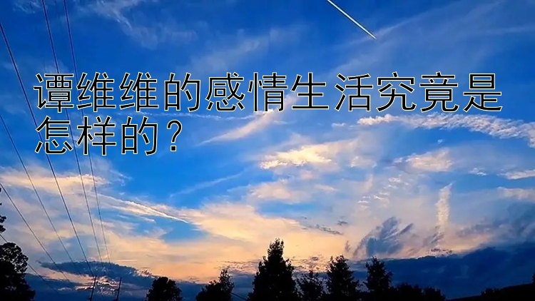 谭维维的感情生活究竟是怎样的？