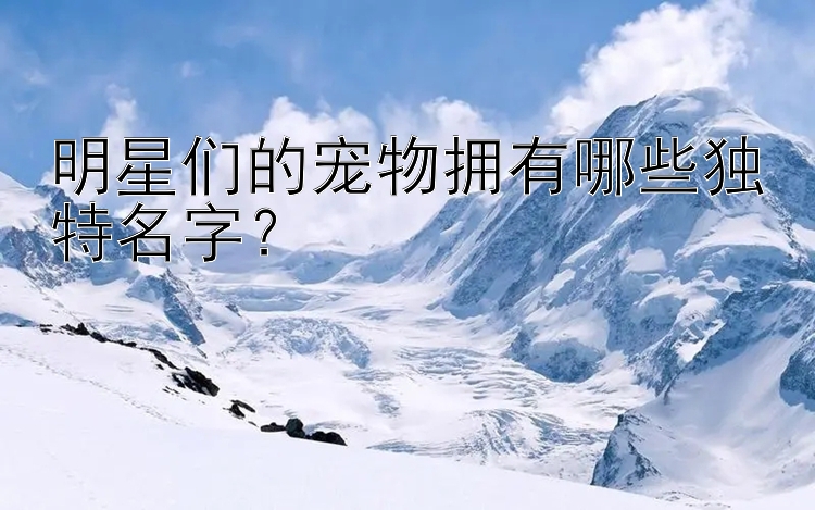 明星们的宠物拥有哪些独特名字？