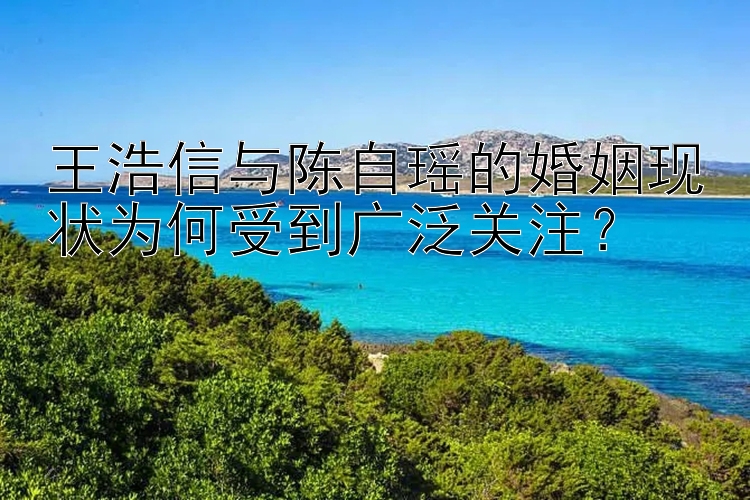 王浩信与陈自瑶的婚姻现状为何受到广泛关注？