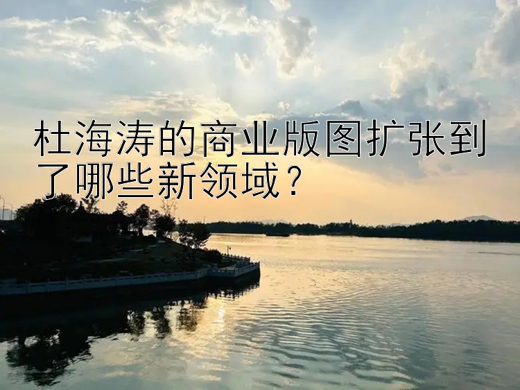 杜海涛的商业版图扩张到了哪些新领域？