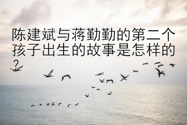 陈建斌与蒋勤勤的第二个孩子出生的故事是怎样的？