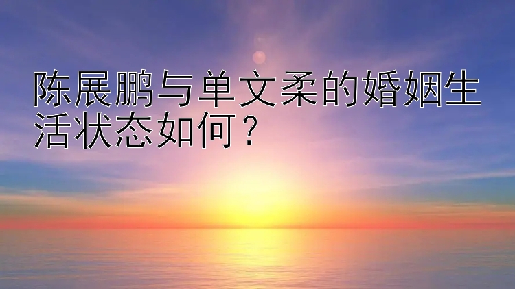 陈展鹏与单文柔的婚姻生活状态如何？