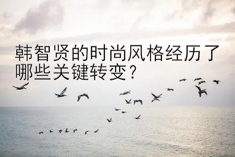 韩智贤的时尚风格经历了哪些关键转变？