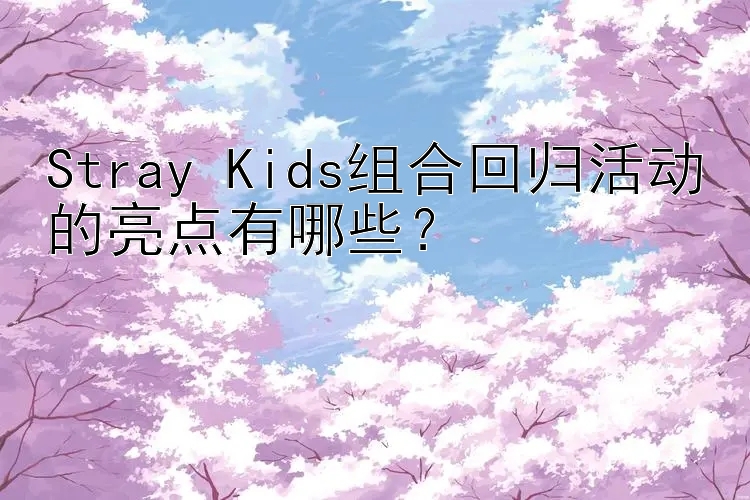 Stray Kids组合回归活动的亮点有哪些？