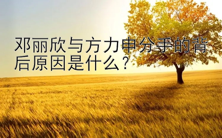 邓丽欣与方力申分手的背后原因是什么？