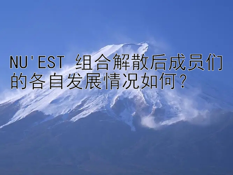 NU'EST 组合解散后成员们的各自发展情况如何？