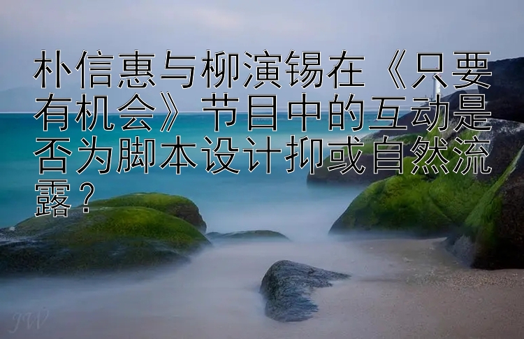 朴信惠与柳演锡在《只要有机会》节目中的互动是否为脚本设计抑或自然流露？