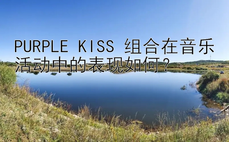 PURPLE KISS 组合在音乐活动中的表现如何？