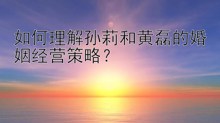 如何理解孙莉和黄磊的婚姻经营策略？