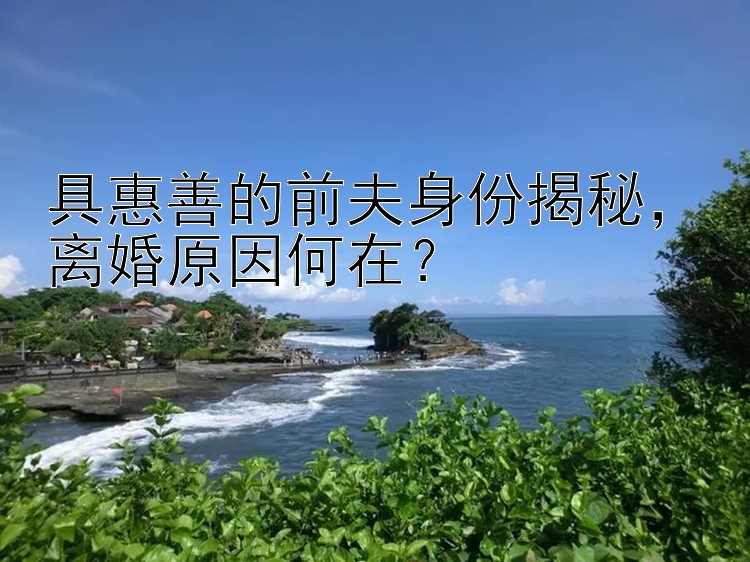 具惠善的前夫身份揭秘，离婚原因何在？