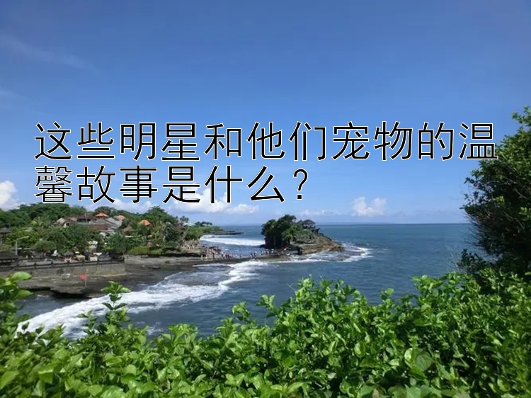 这些明星和他们宠物的温馨故事是什么？