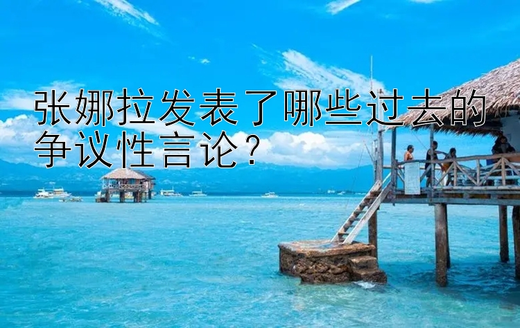 张娜拉发表了哪些过去的争议性言论？