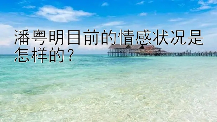 潘粤明目前的情感状况是怎样的？