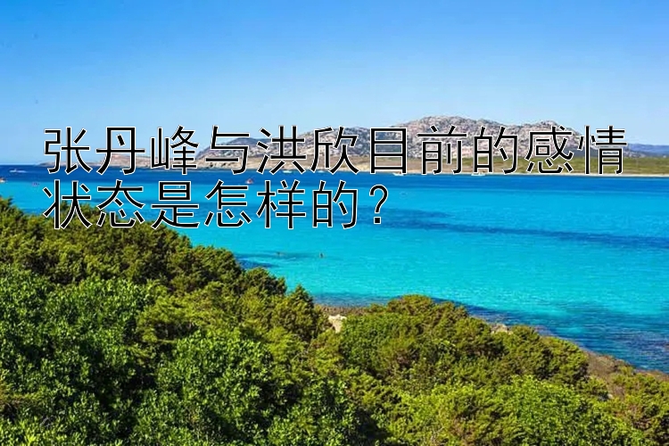 张丹峰与洪欣目前的感情状态是怎样的？