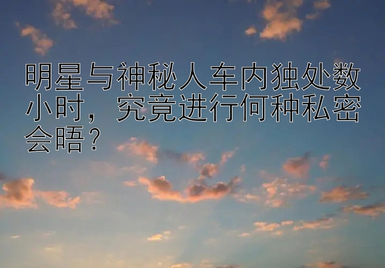 明星与神秘人车内独处数小时，究竟进行何种私密会晤？