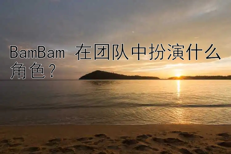 BamBam 在团队中扮演什么角色？