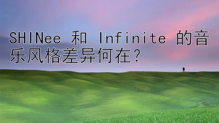 SHINee 和 Infinite 的音乐风格差异何在？