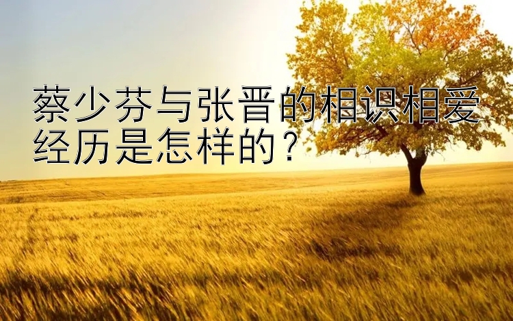 蔡少芬与张晋的相识相爱经历是怎样的？