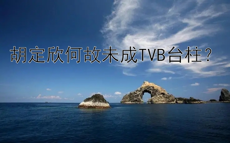 胡定欣何故未成TVB台柱？