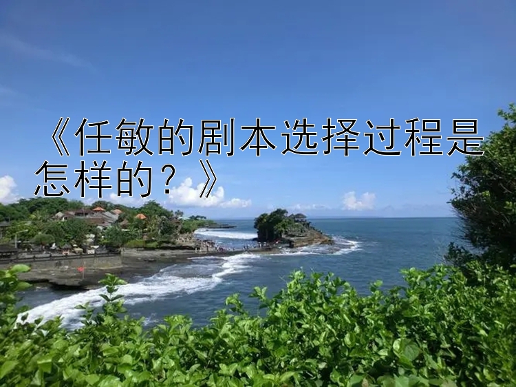 《任敏的剧本选择过程是怎样的？》