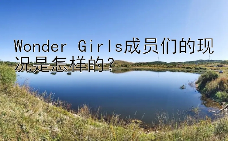 Wonder Girls成员们的现况是怎样的？