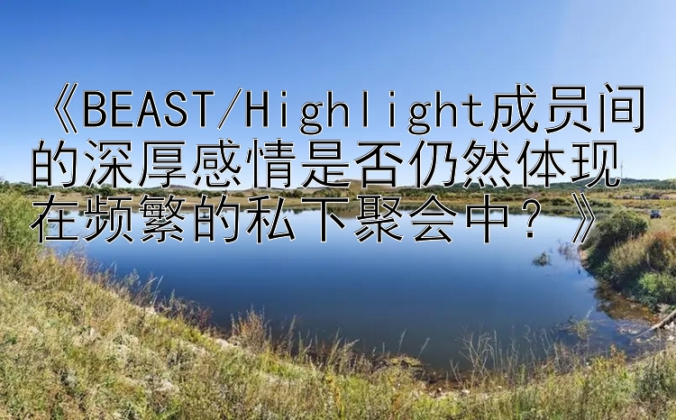 《BEAST/Highlight成员间的深厚感情是否仍然体现在频繁的私下聚会中？》