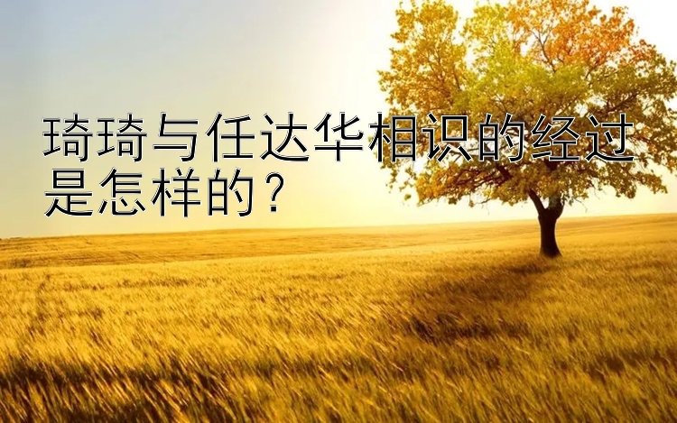 琦琦与任达华相识的经过是怎样的？