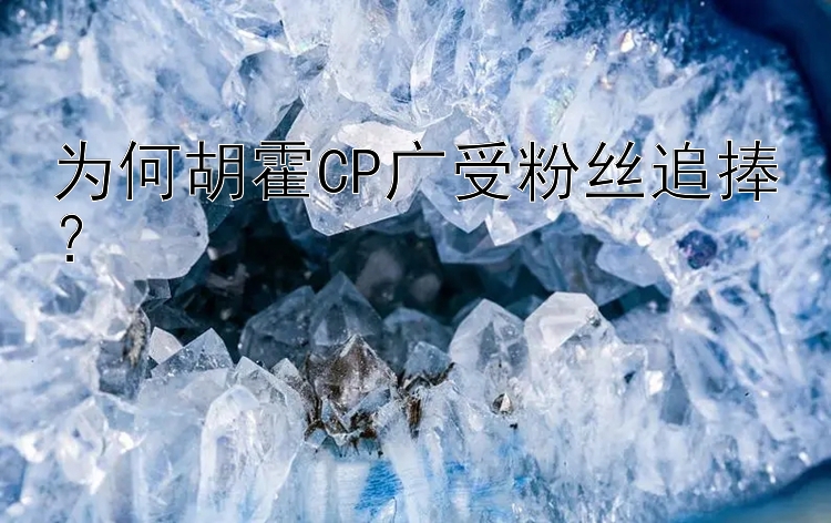 为何胡霍CP广受粉丝追捧？