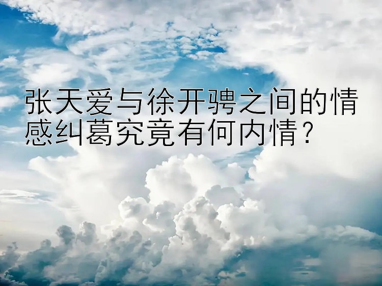 张天爱与徐开骋之间的情感纠葛究竟有何内情？