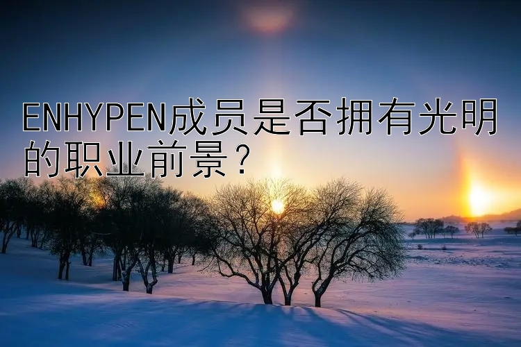 ENHYPEN成员是否拥有光明的职业前景？