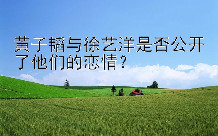 黄子韬与徐艺洋是否公开了他们的恋情？