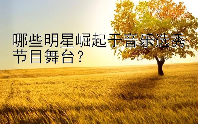 哪些明星崛起于音乐选秀节目舞台？