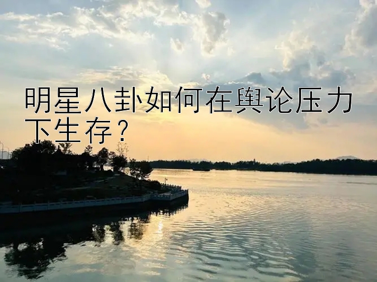 明星八卦如何在舆论压力下生存？