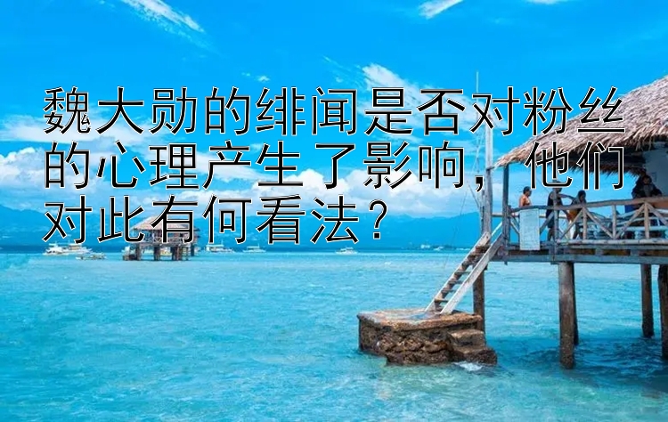 魏大勋的绯闻是否对粉丝的心理产生了影响，他们对此有何看法？