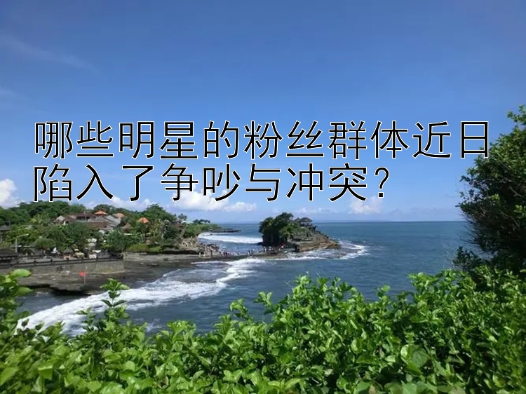 哪些明星的粉丝群体近日陷入了争吵与冲突？