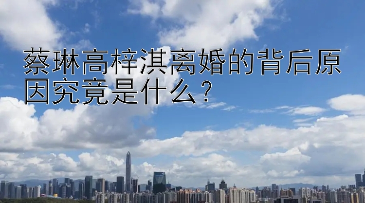 蔡琳高梓淇离婚的背后原因究竟是什么？