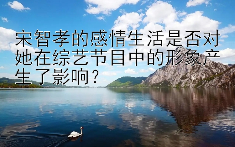 宋智孝的感情生活是否对她在综艺节目中的形象产生了影响？