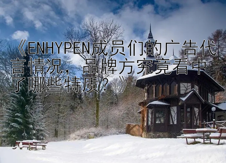 《ENHYPEN成员们的广告代言情况，品牌方究竟看中了哪些特质？》