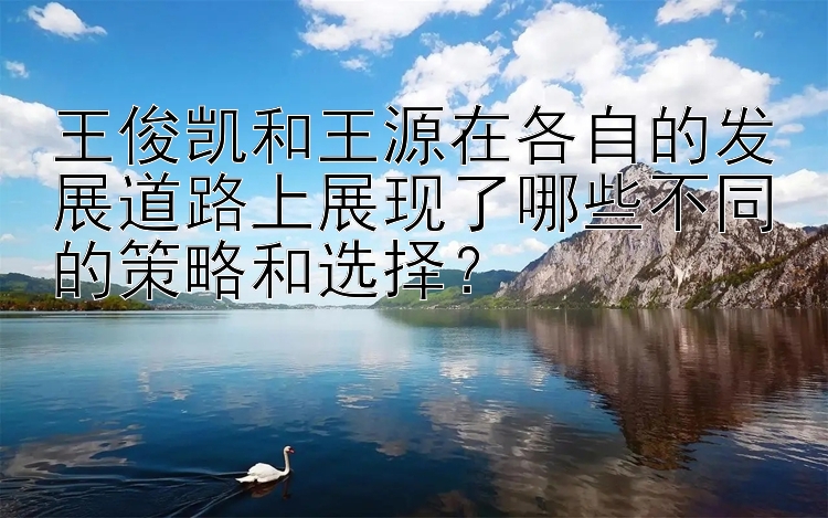 王俊凯和王源在各自的发展道路上展现了哪些不同的策略和选择？