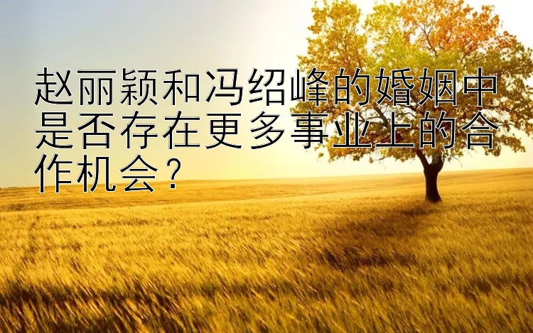 赵丽颖和冯绍峰的婚姻中是否存在更多事业上的合作机会？