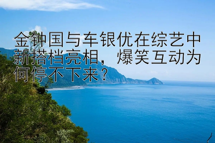 金钟国与车银优在综艺中新搭档亮相，爆笑互动为何停不下来？