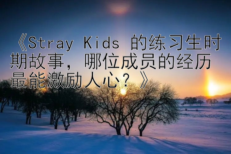 《Stray Kids 的练习生时期故事，哪位成员的经历最能激励人心？》