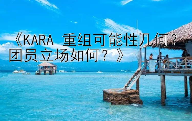 《KARA 重组可能性几何？团员立场如何？》