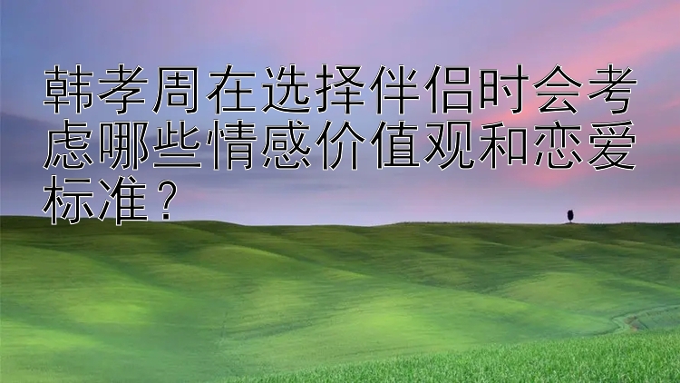 韩孝周在选择伴侣时会考虑哪些情感价值观和恋爱标准？