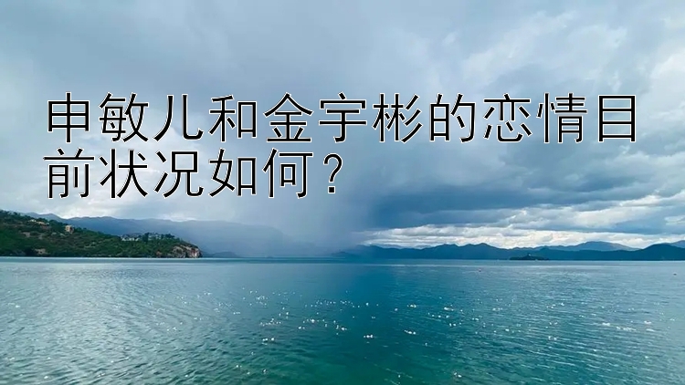 申敏儿和金宇彬的恋情目前状况如何？