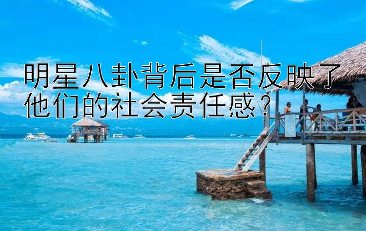 明星八卦背后是否反映了他们的社会责任感？